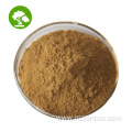 Factory Supply Wild Jujube Extract Powder 1%~5% Jujuboside